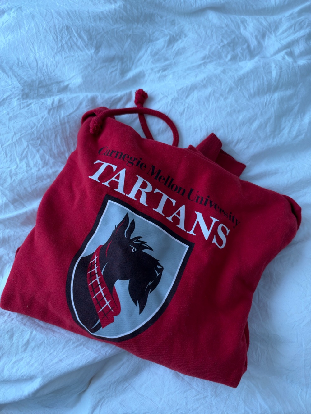 Carnegie Mellon University Red Tartans Hoodie in Unisex size S